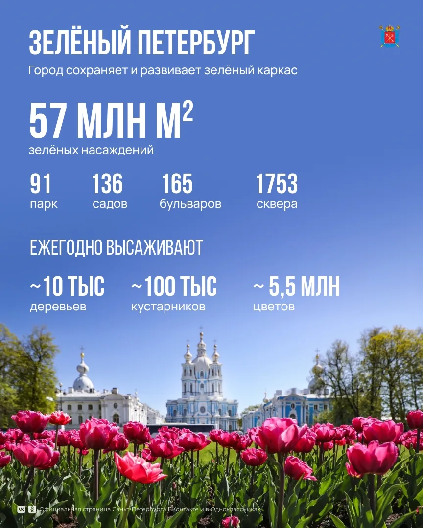 Петербург последовательно создаёт комфортную городскую среду.

В разных районах появляются новые общ
