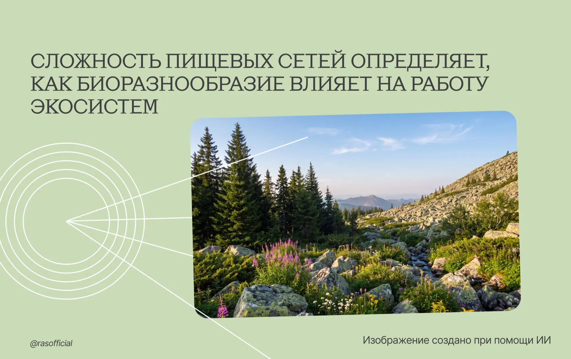 Сложность пищевых сетей определяет, как биоразнообразие влияет на работу экосистем

Учёные проанализ