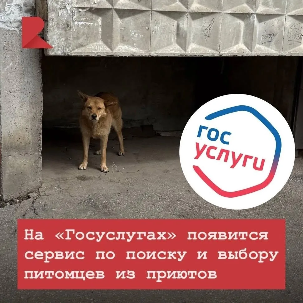 Новость 🔥🔥🔥🔥