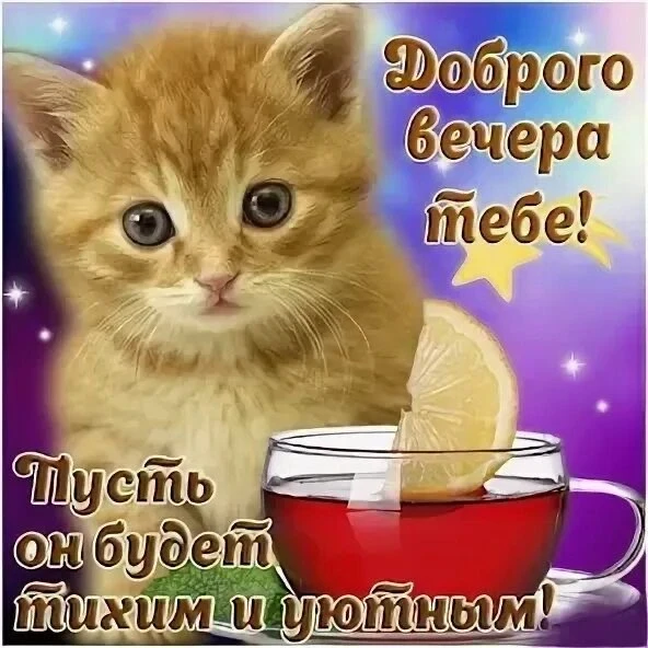 Город постепенно сбавляет темп, а вечер становится чуть уютнее 🫶