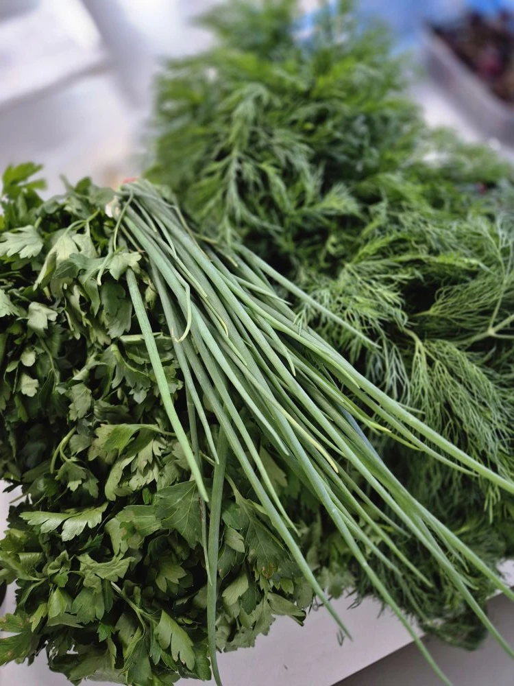 Свежая зелень 🌱