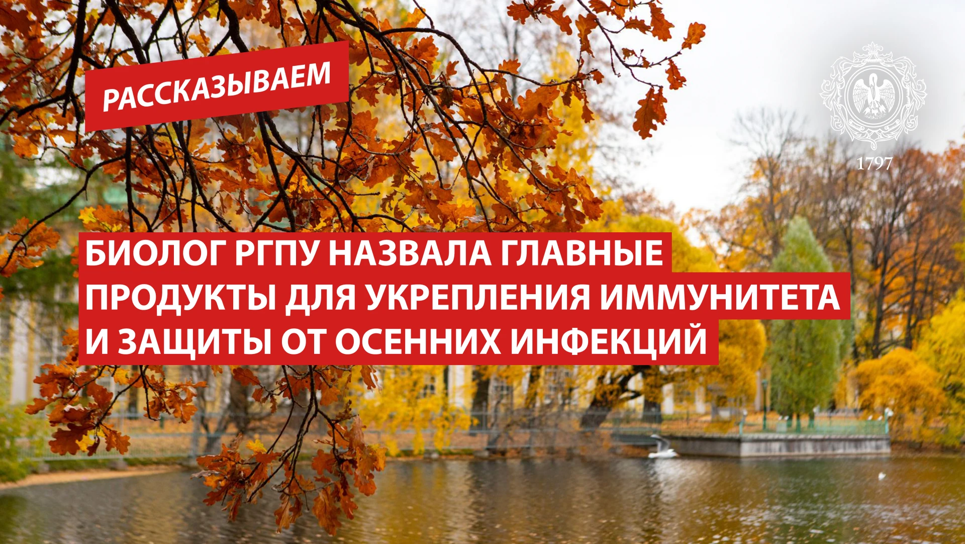 Биолог РГПУ назвала главные продукты для укрепления иммунитета и защиты от осенних инфе...