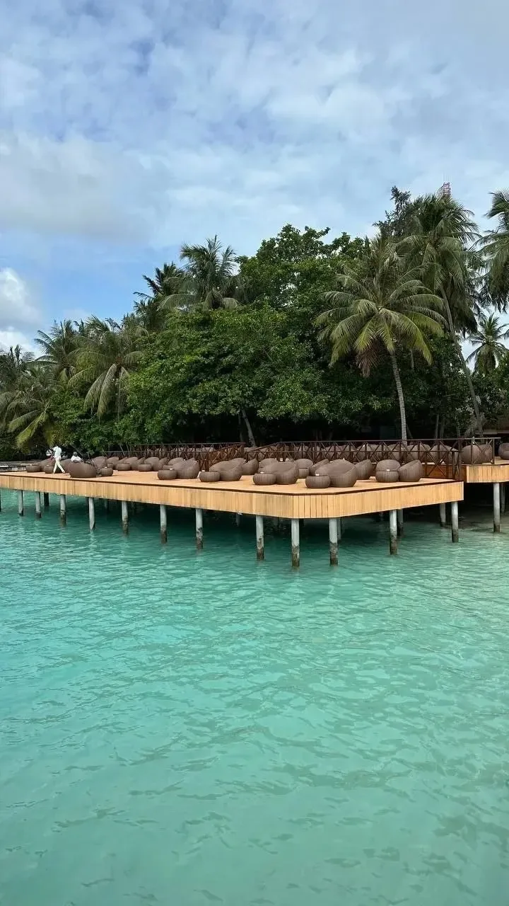 🇲🇻 Мальдивы дешевле Турции, от такого предложения не отказываются и нужно бронировать  прямо сейча