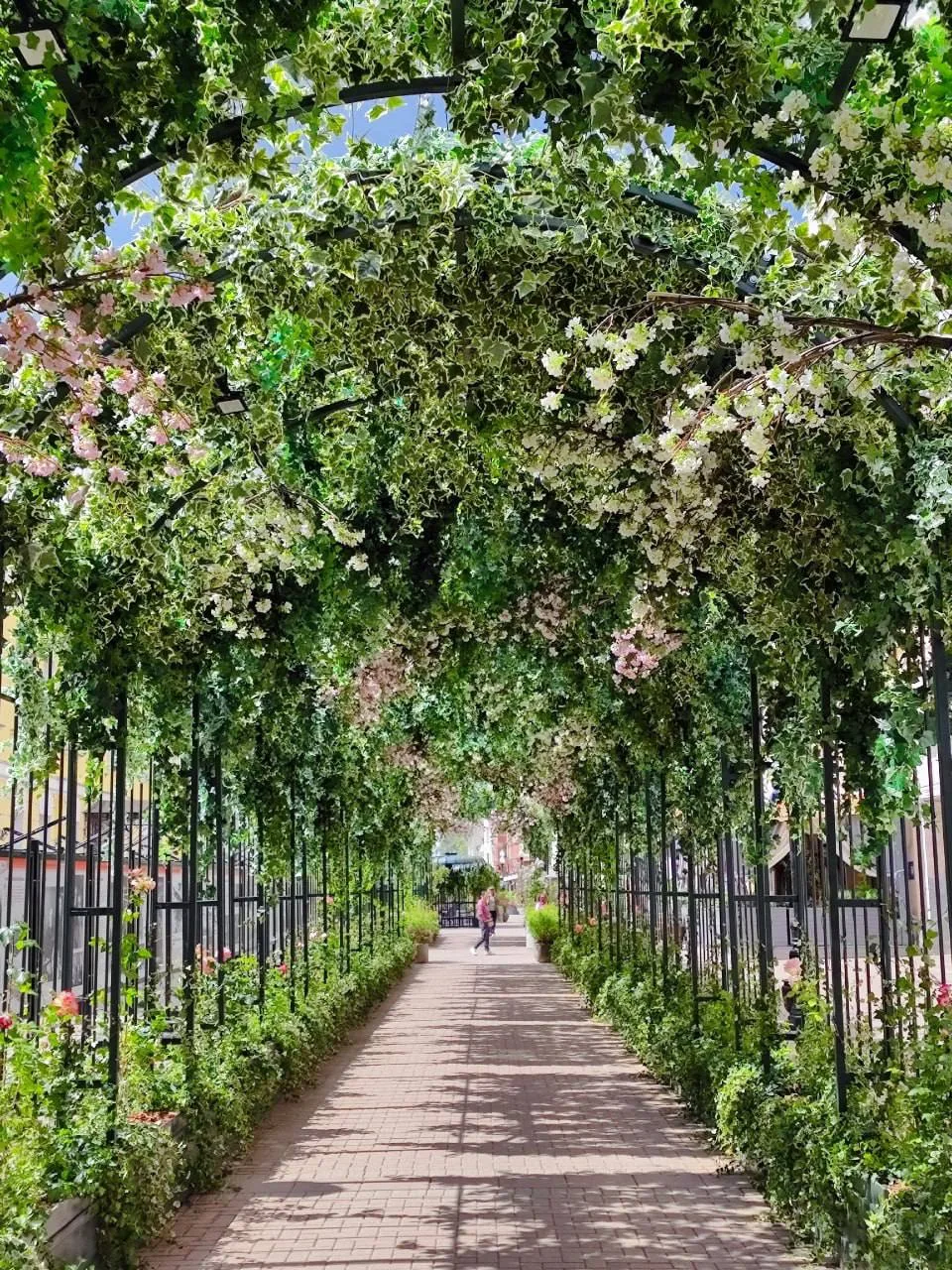 #гуляемпоМоскве

💐 На Арбате появился цветущий тоннель

Одна из самых известных улиц Москвы стала е