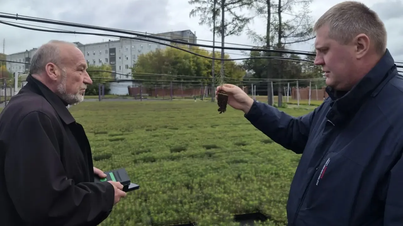 🌱 Магаданские специалисты КЗХ побывали в Управлении зелёного строительства Красноярска