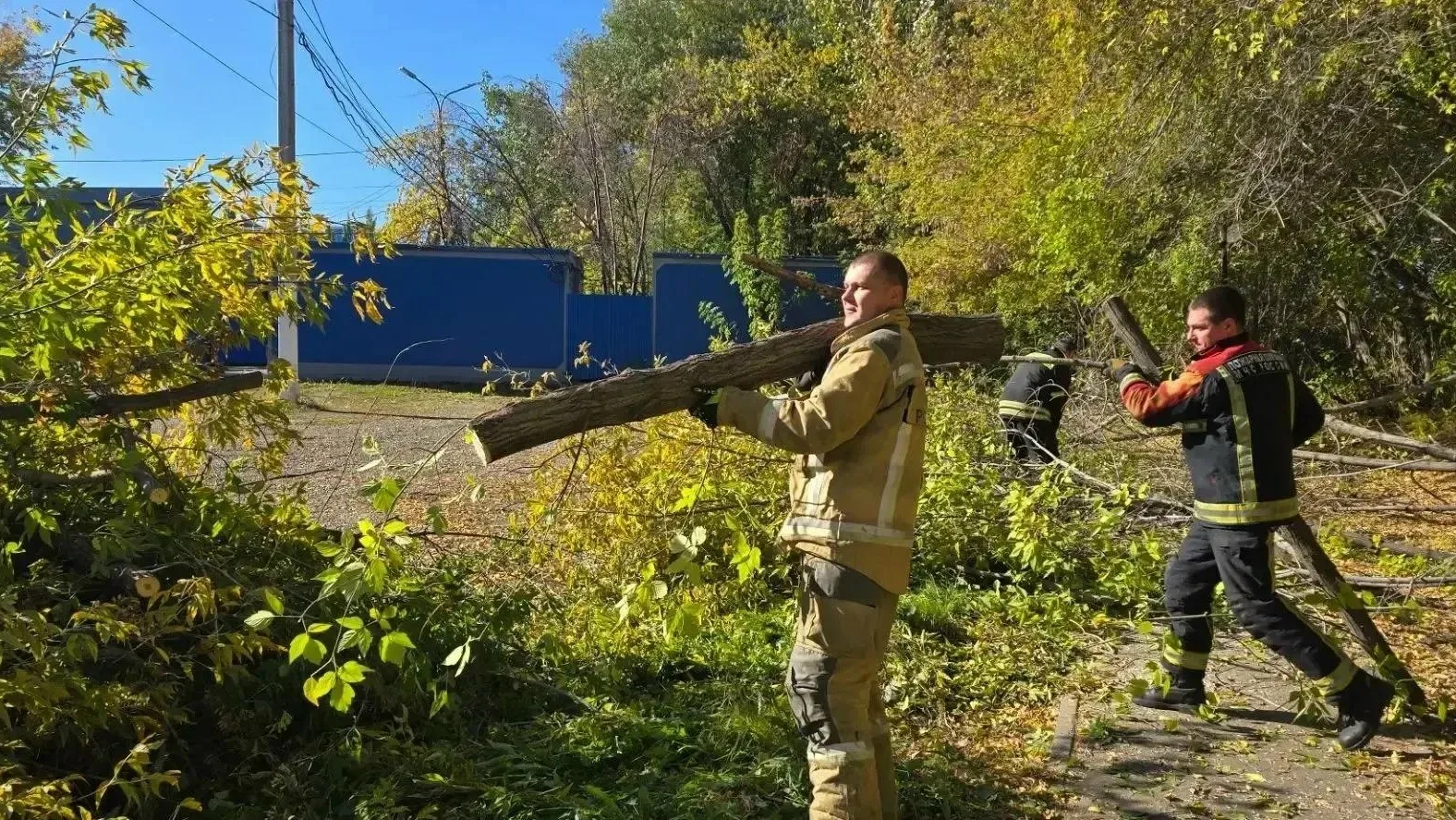 🍂 В иркутском Академгородке провели субботник.