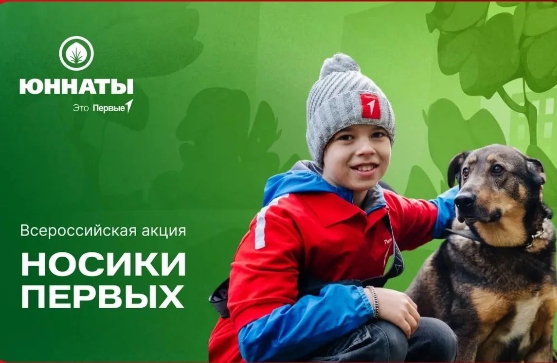 🐈Идеальный день с питомцем: как мы участвуем во всероссийских акциях!
