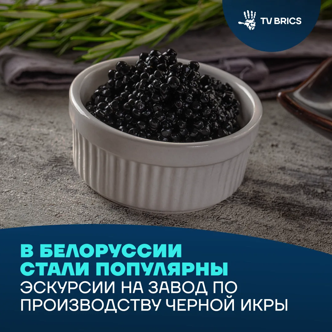 🇧🇾  В белорусском Фаниполе стартовал проект промышленного туризма на предприятии по выращиванию ос