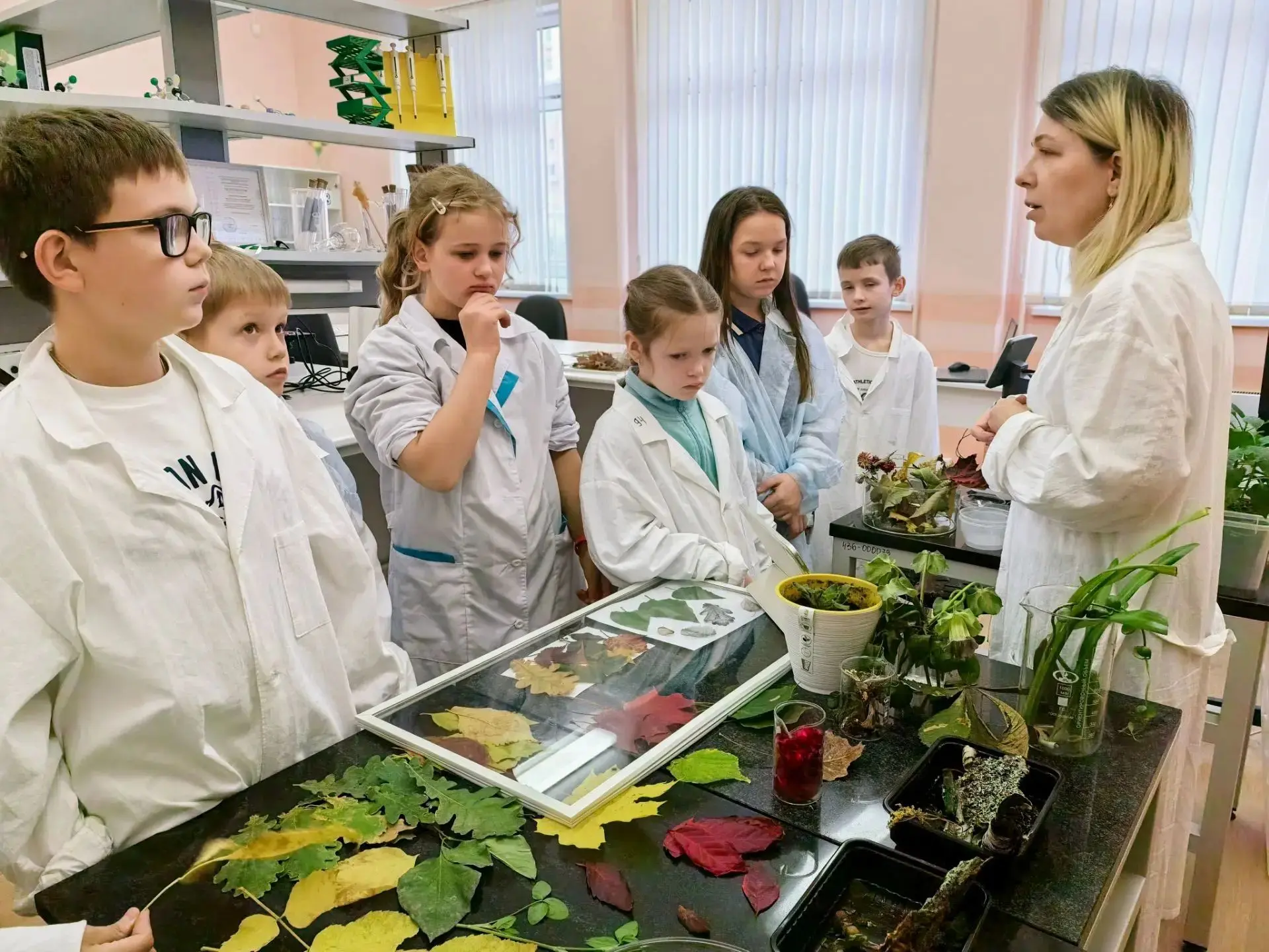 Биоархив — что скрывает скелет листа 🍂🔬
