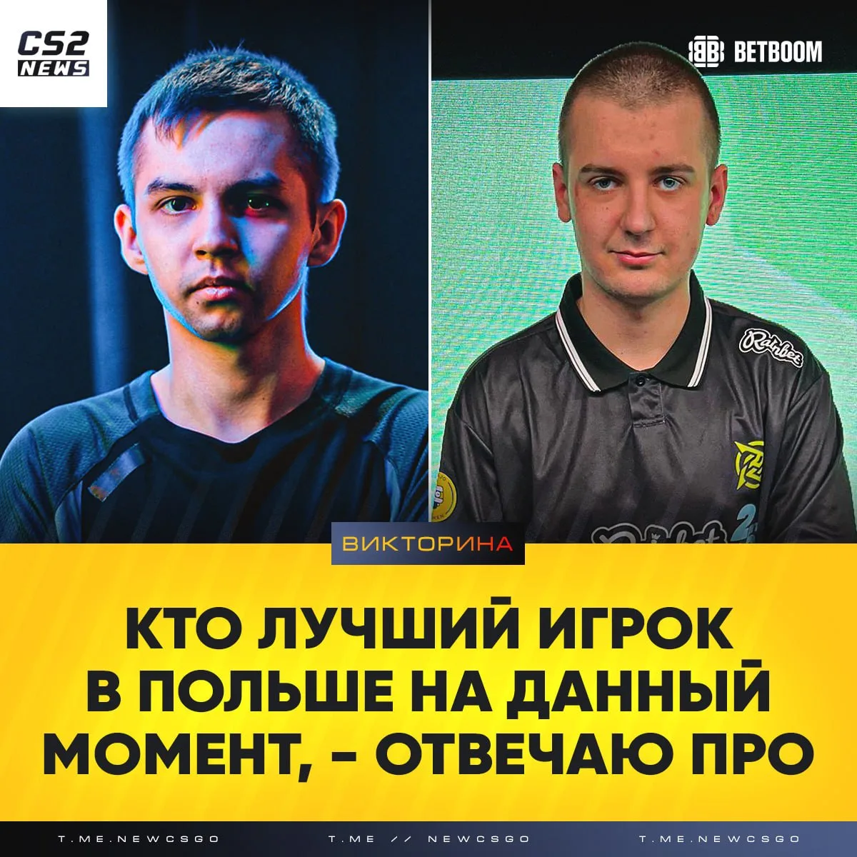 🇵🇱 Кто лучший польский игрок сейчас?, — отвечают про-игроки