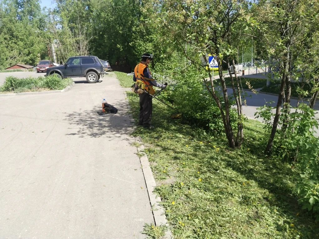 🌿 В летний период уделяем особое внимание благоустройству придомовых территорий: регулярно проводим 