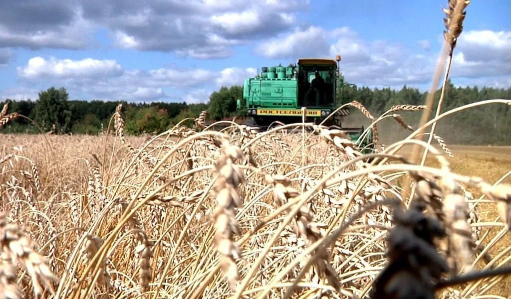 ✅На Урале ветераны и участники СВО могут получить грант «Агромотиватор»

Ветераны и участники СВО Св