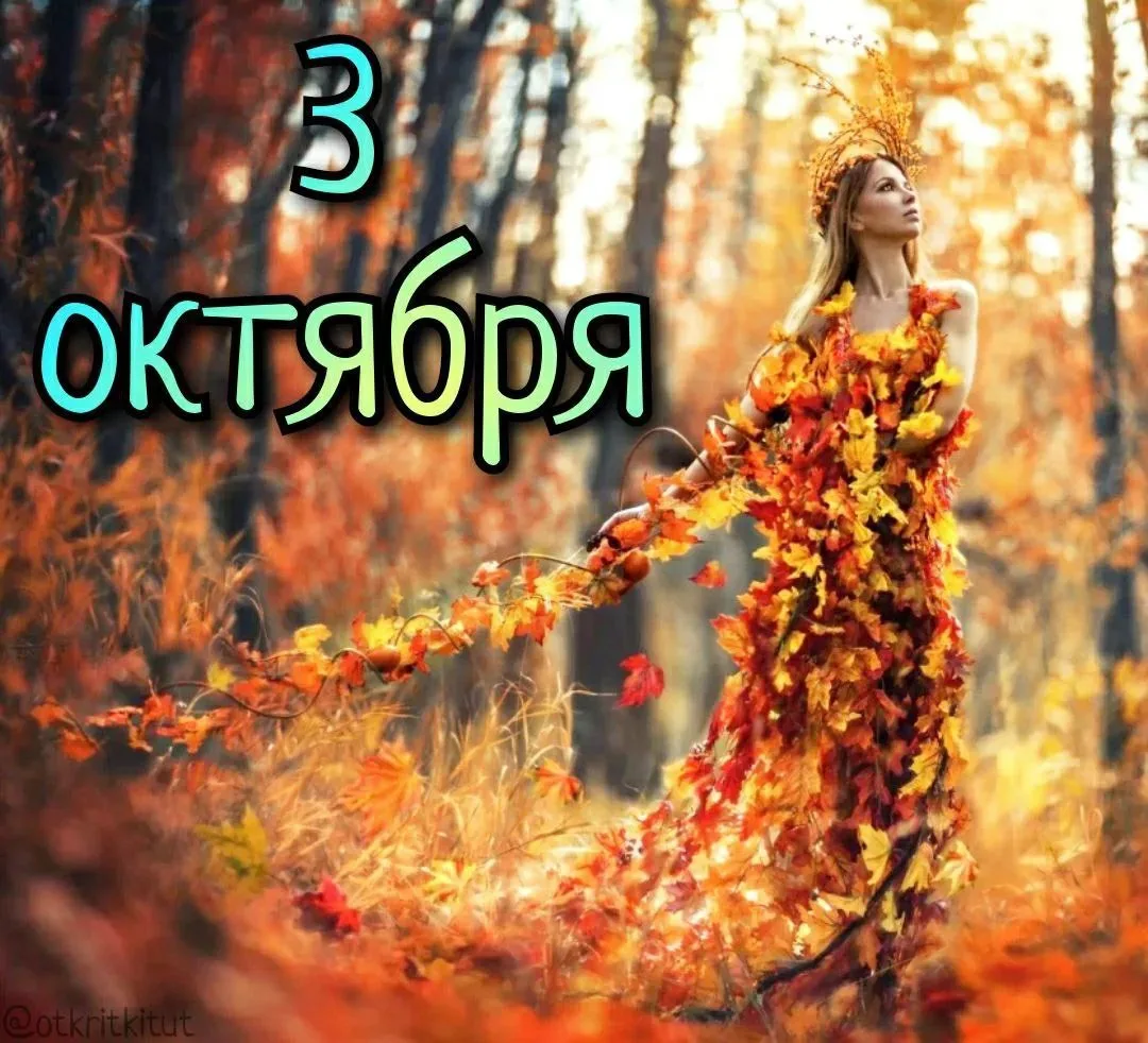 Праздники 3 октября 🍁