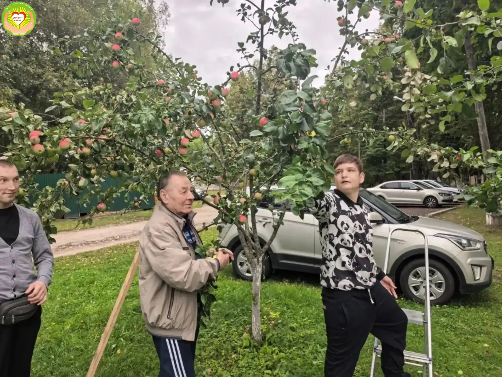 Осень щедро одаривает нас плодами, и сбор яблок становится настоящим праздником.🍁🍁🍁Р...