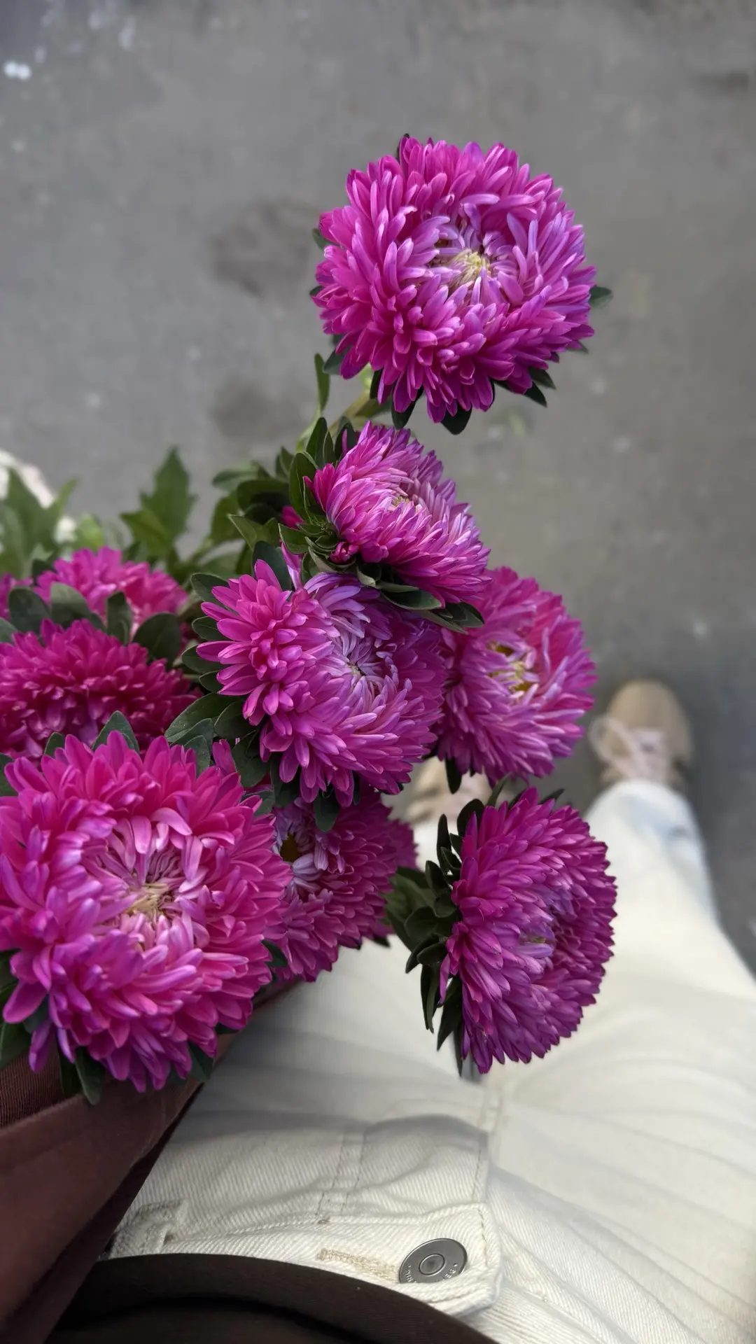 🌸   Свежее поступление