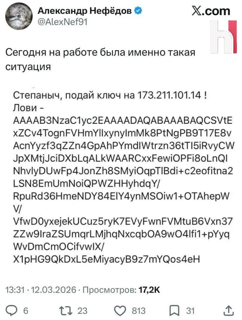 — Новые реали