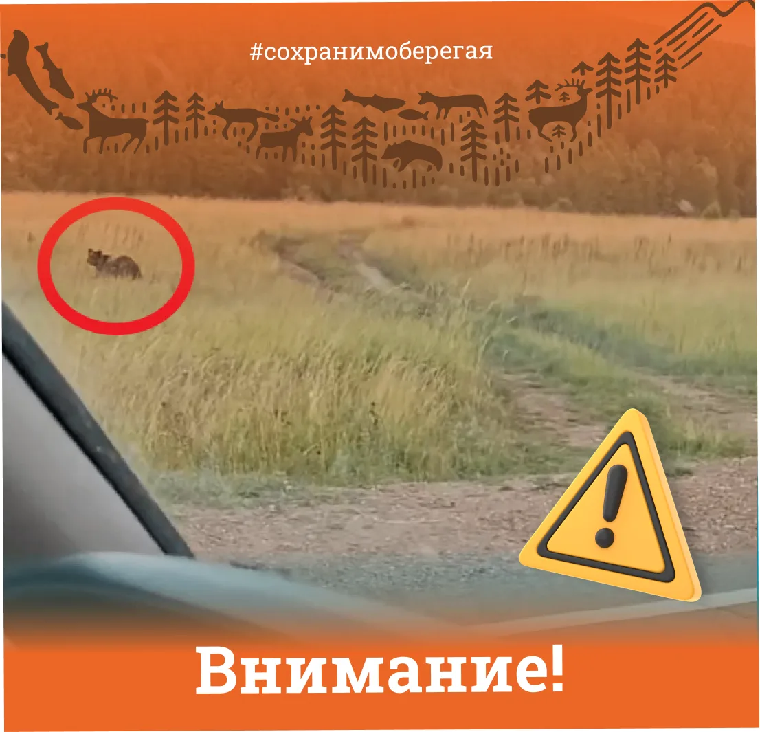 ВНИМАНИЕ!
