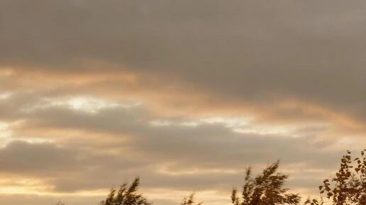 Синоптики рассказали о погоде в Курске во вторник, 6 октября