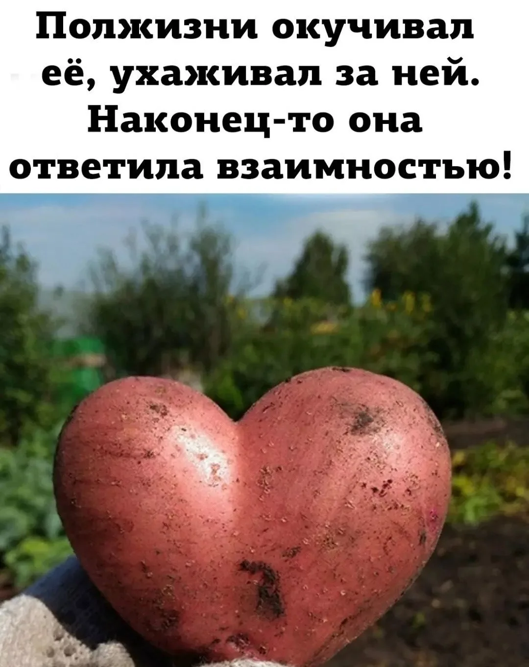 Дача или Во саду ли в огороде  🏡

Подпишись на нас 👇
🇷🇺 ПОДПИШИСЬ НА НАШИ КАНАЛЫ ПО ИНТЕРЕСАМ