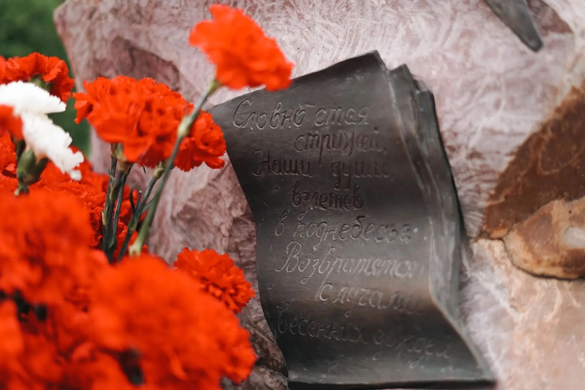 🕊️ Памяти команды «Локомотив»