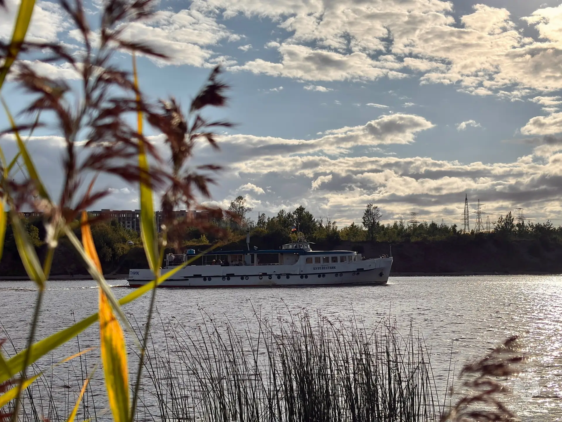 🍁Доброе утро, скобари