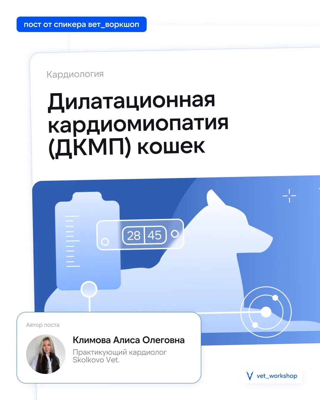 🎓  Дилатационная кардиомиопатия (ДКМП) кошек