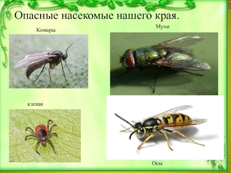 ПАМЯТКА ДЛЯ РОДИТЕЛЕЙ