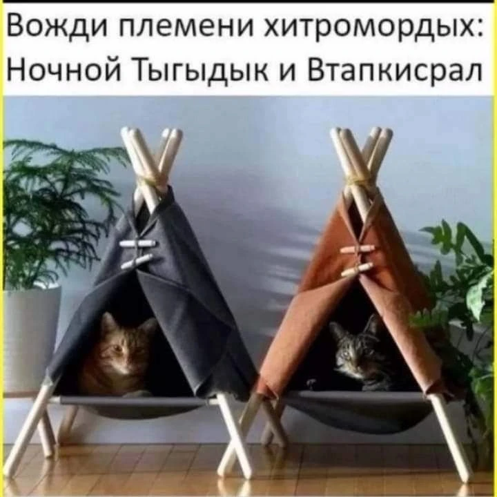 👀MAX С Юмором‼️

😄Юмор | Видео | Приколы
👉Подписаться.