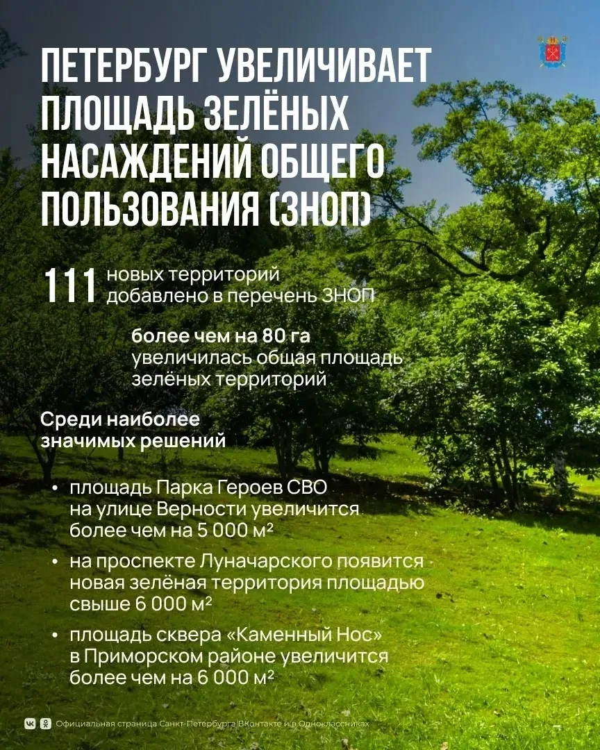 В Петербурге станет больше парков и скверов: площадь зелёных территорий увеличилась более чем на 80 