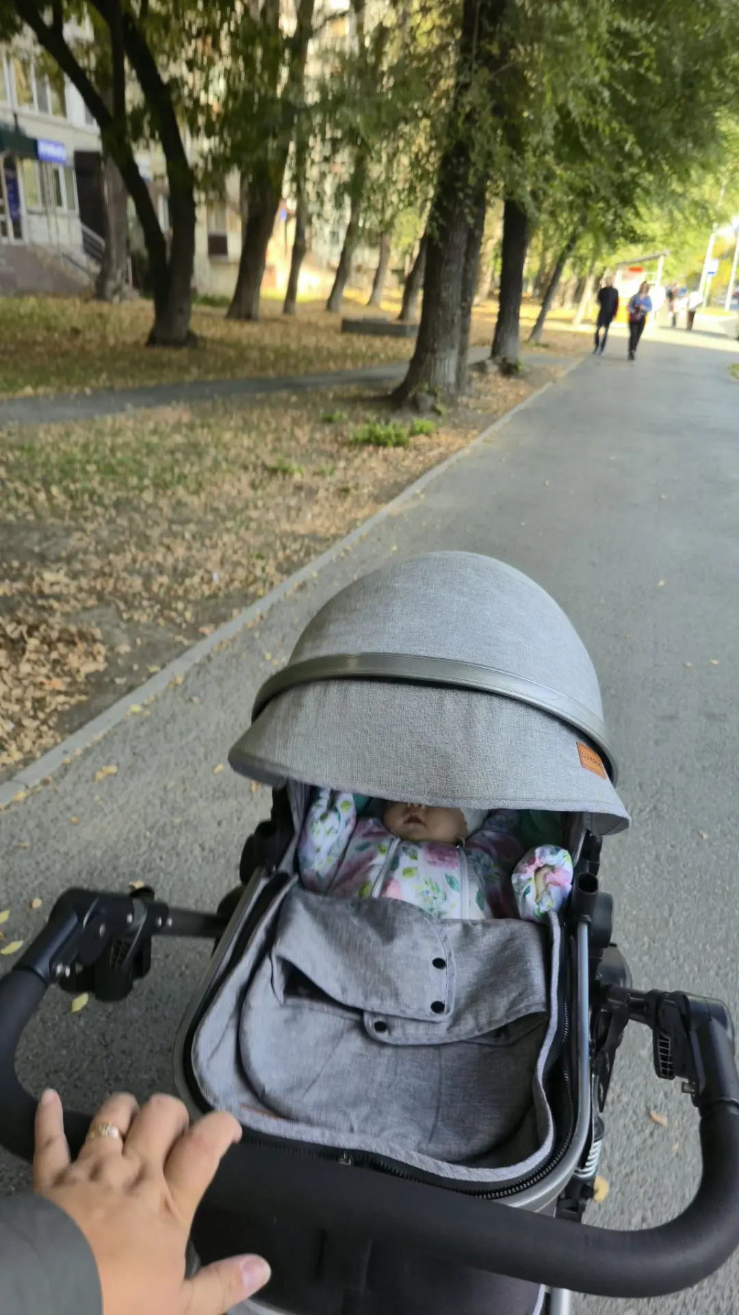 #Прогулка