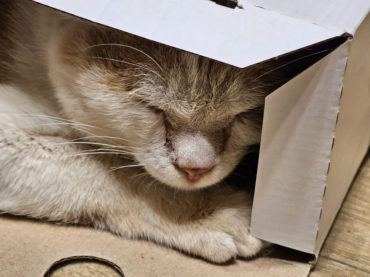 Приятных снов 😴