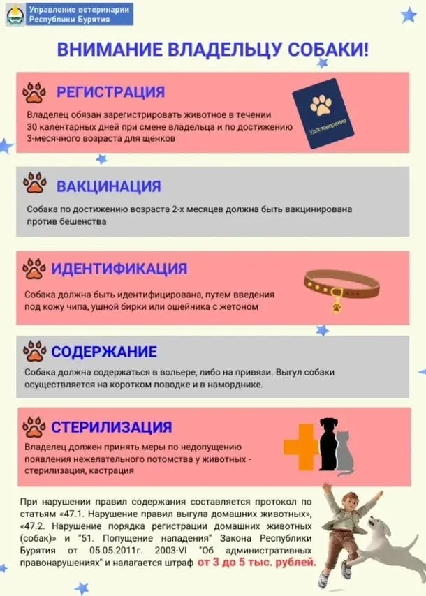📣Что должен