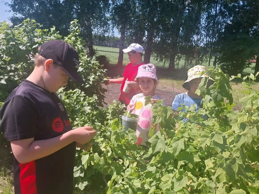 10 день пришкольного лагеря  " Солнышко" 🌞