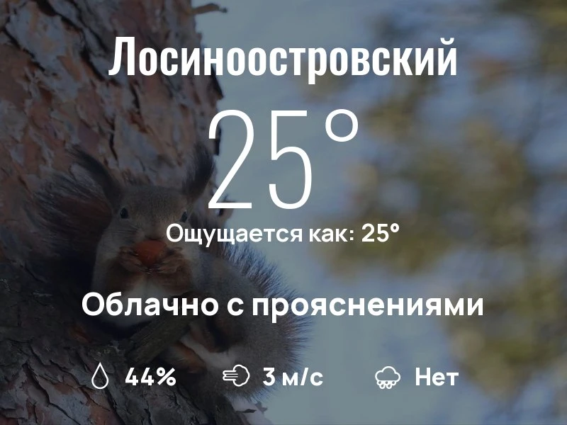 Что с погодой в Лосиноостровском?