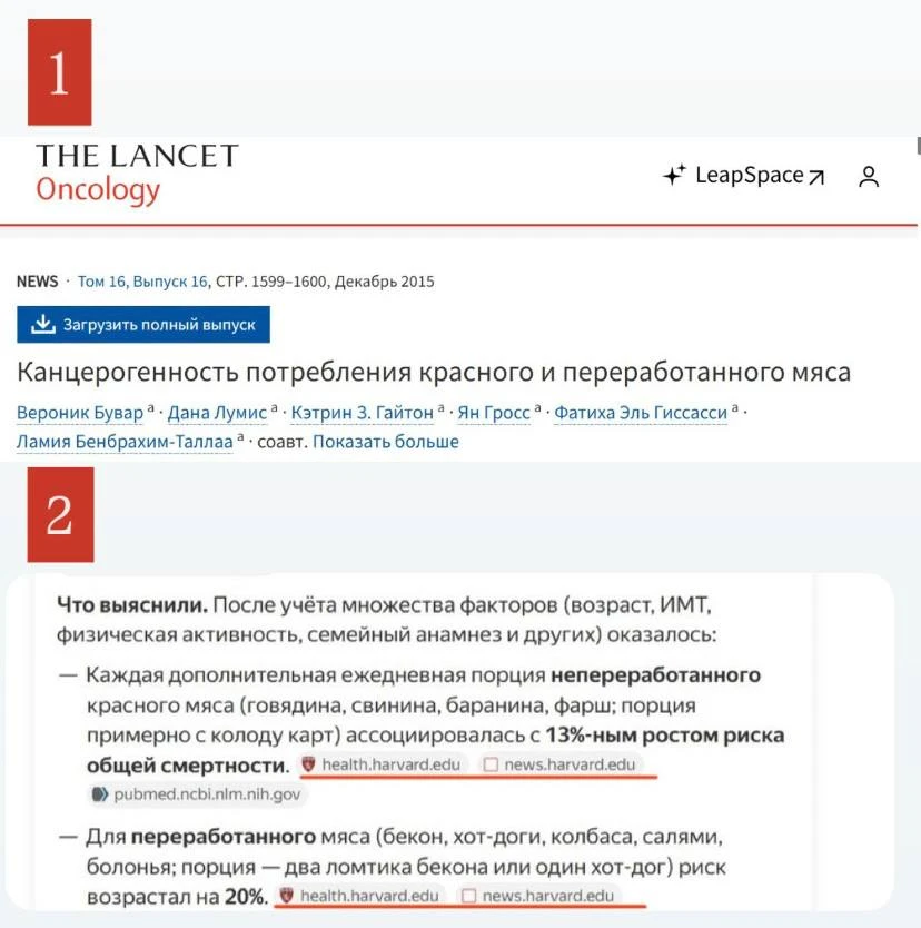 🥩 Действительно ли красное и переработанное мясо вызывает рак?