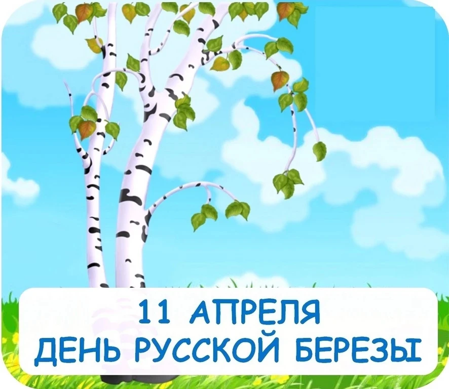 К дню берёзы в группе "Дюймовочка" прошло тематическое занятие, направленное на знакомс...