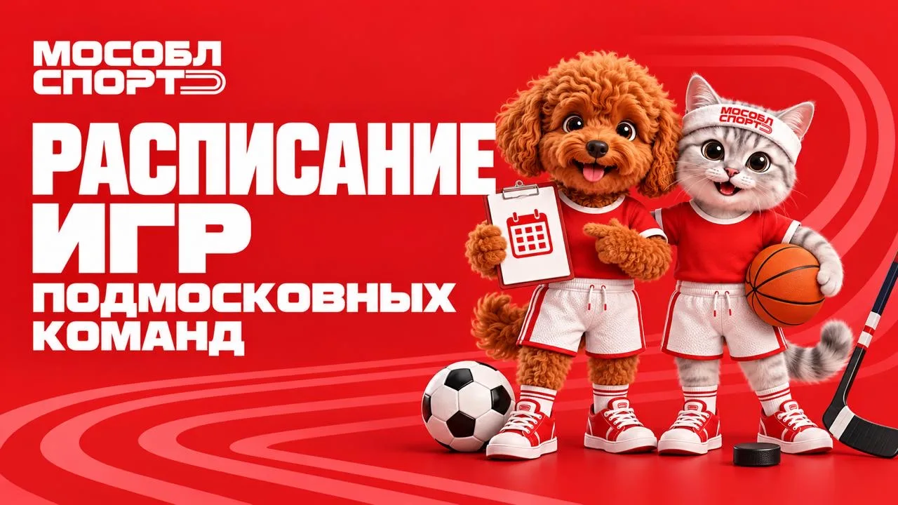 Баскетбол 🏀