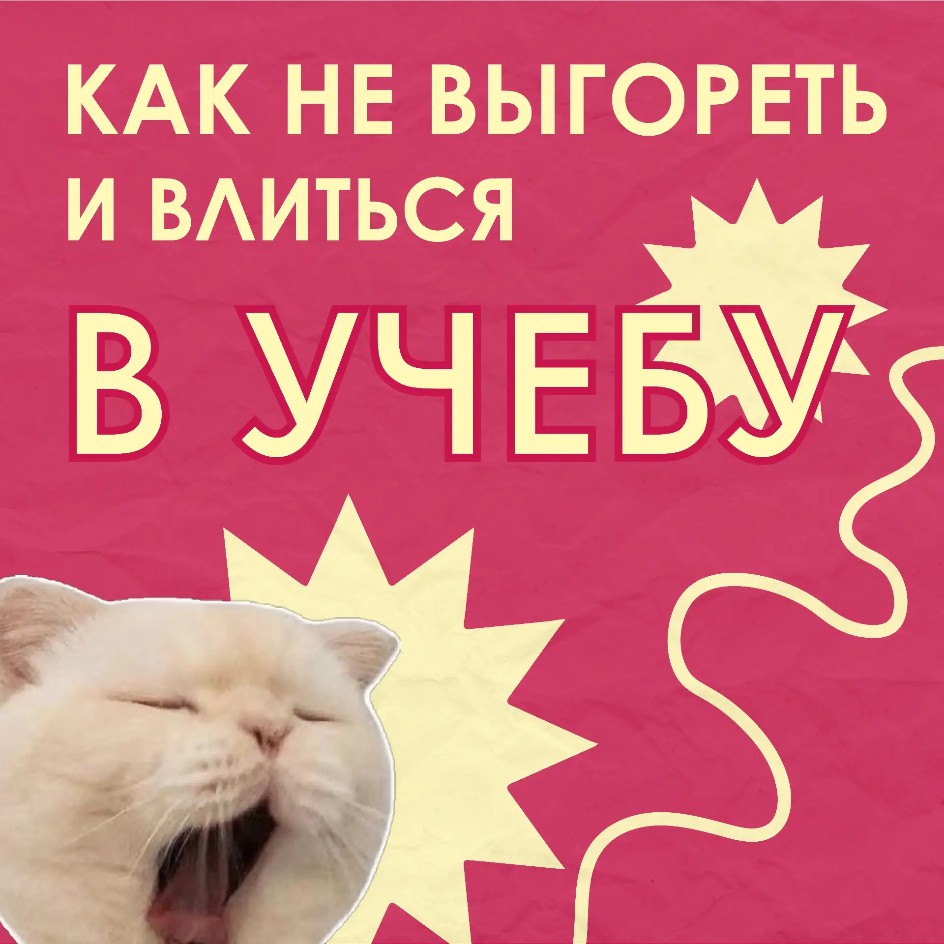 🔥Студенты, начало семестра — это всегда аврал: всё смешалось, а сил уже нет.
