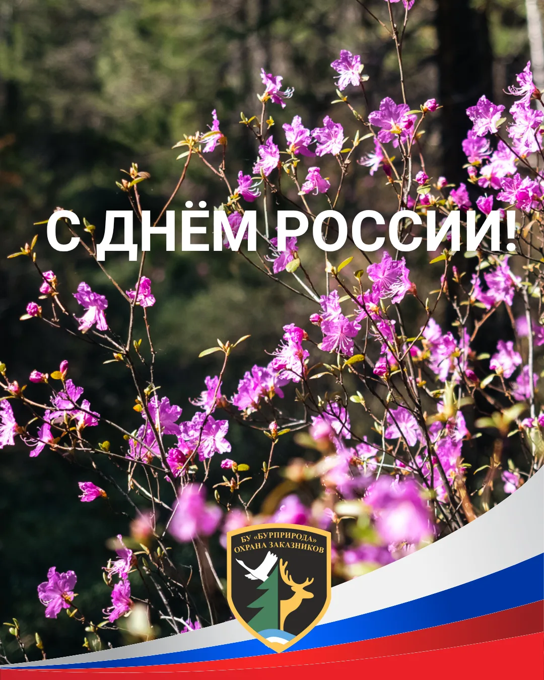🇷🇺 С Днем России!