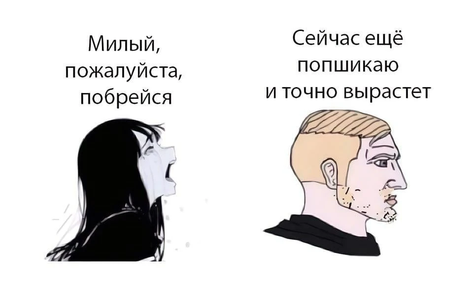 Есть тут такие?