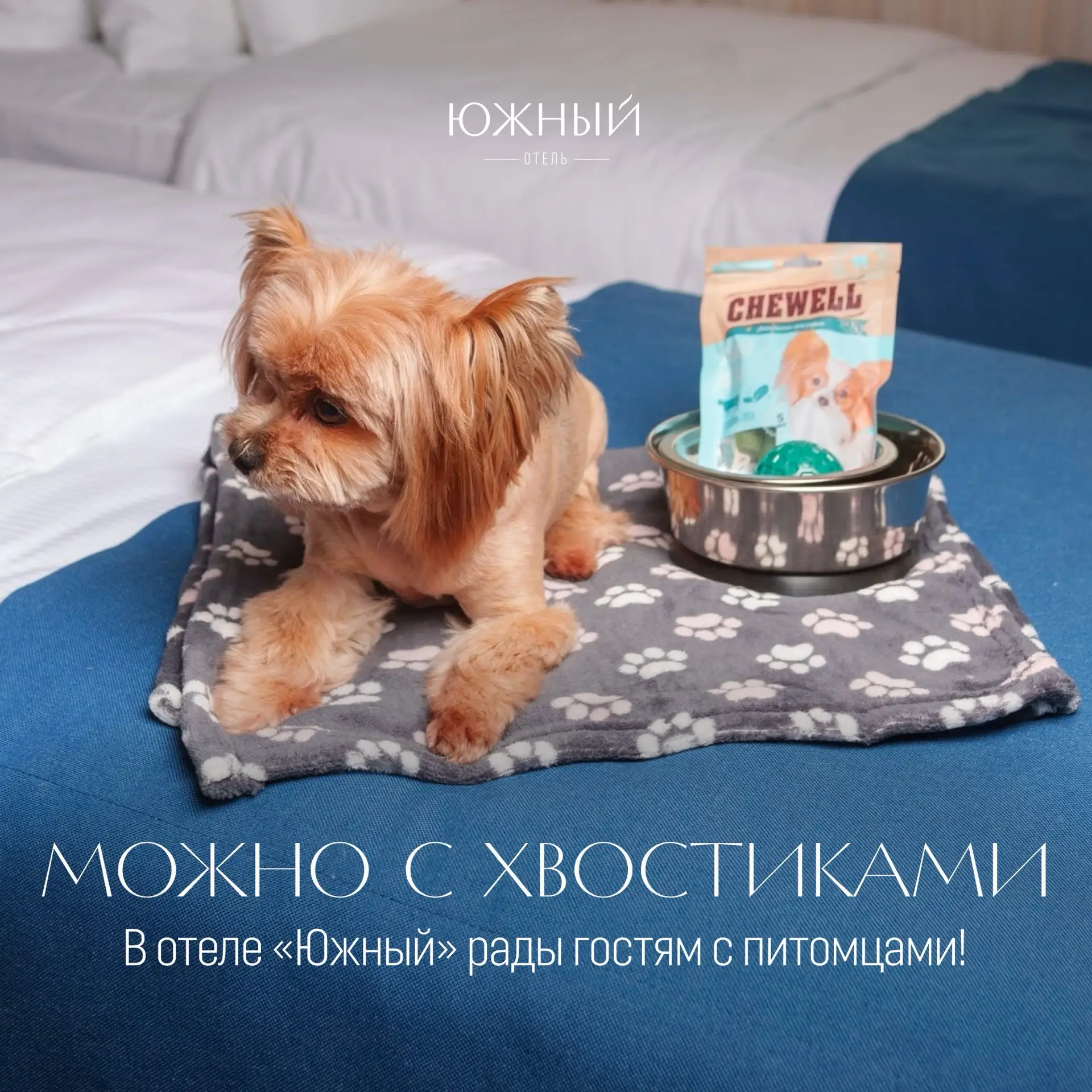 🐾В отель «Южный» можно приезжать вместе с теми, кого не хочется оставлять дома!