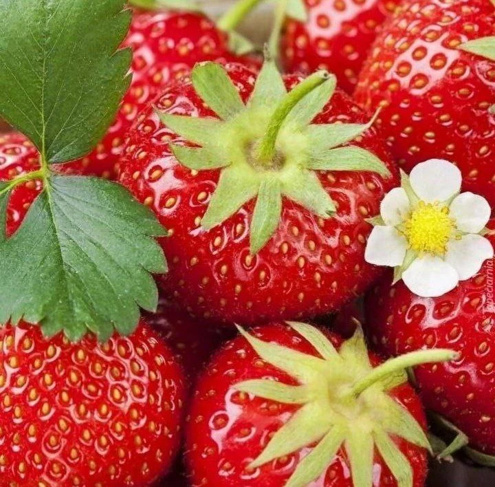 Чем подкормить клубнику для крупных ягод 🍓