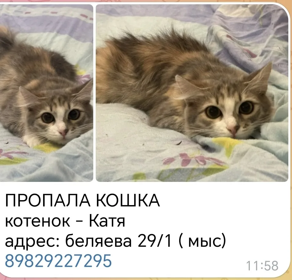 __________________________
Присоединяйтесь к нам: 
Матмасы в МАХ
Заречный в МАХ
Добрые новости Тюмен