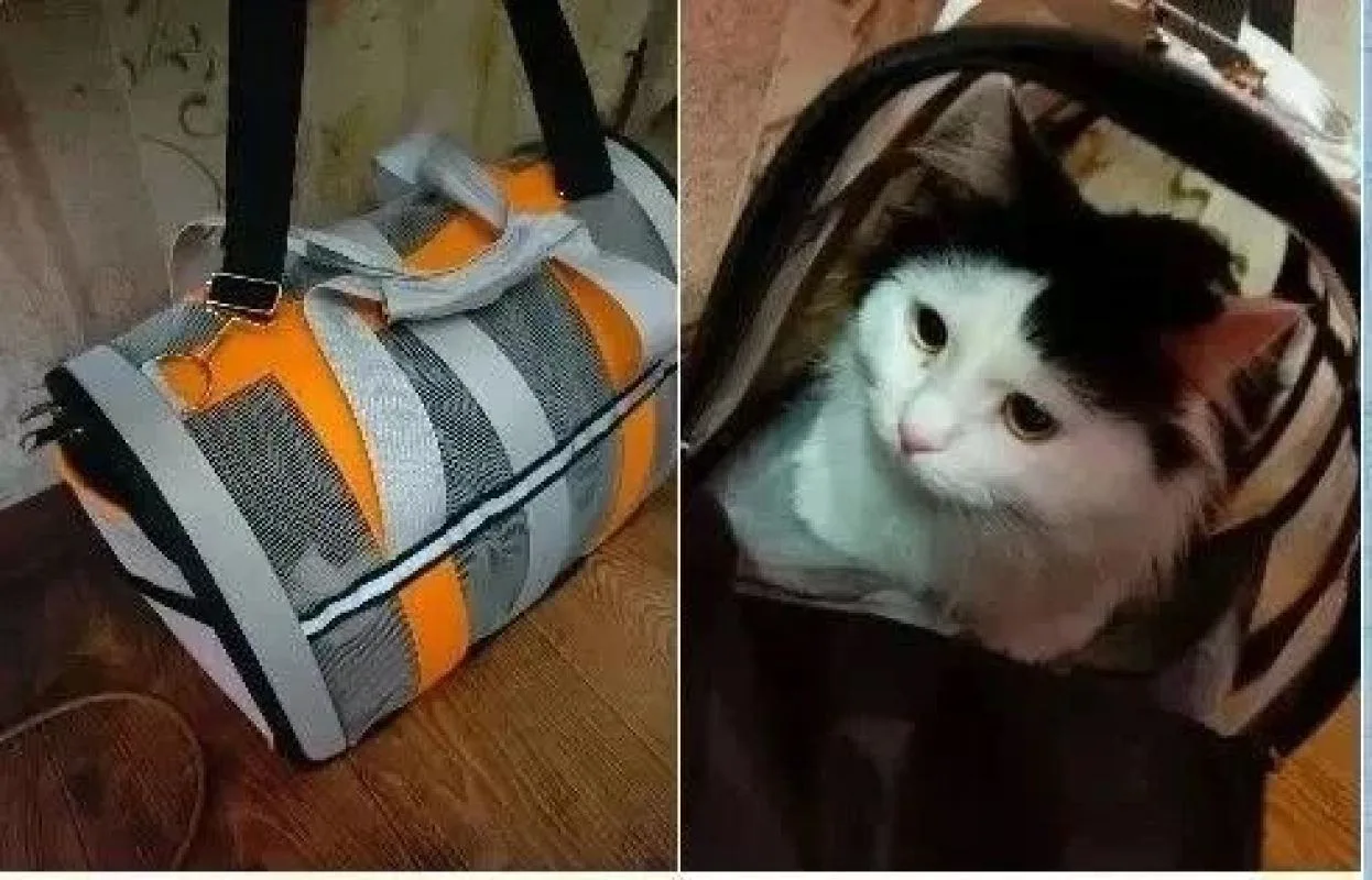🐱 Переноску с котом забыли в воронежской маршрутке
