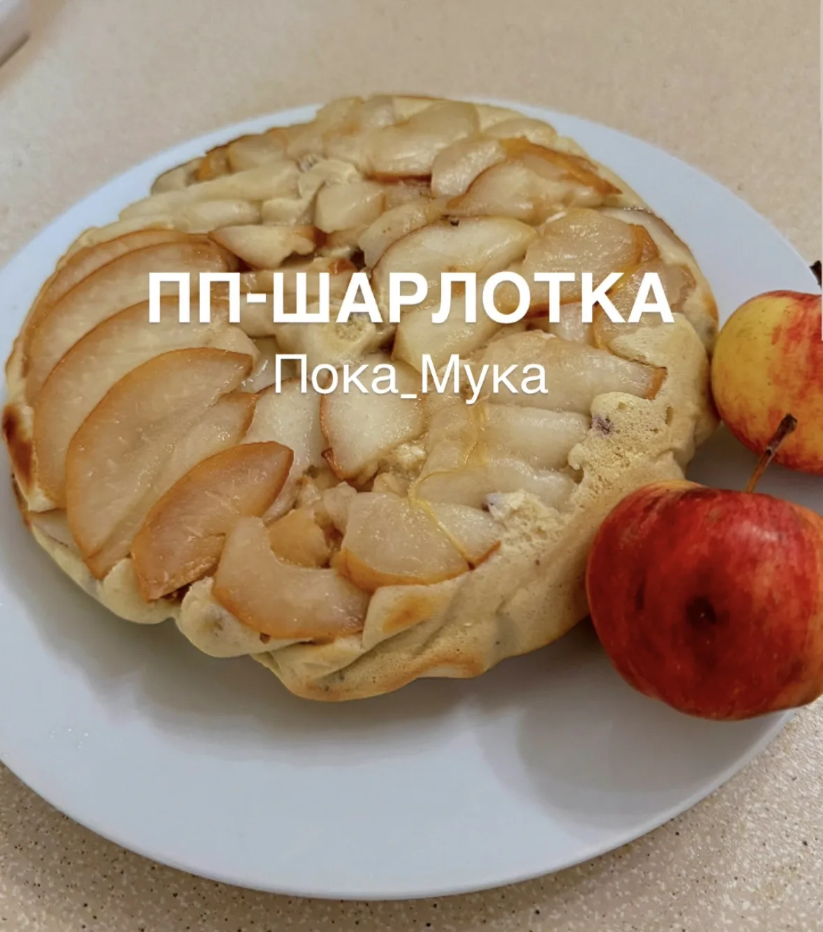 ПП-ШАРЛОТКА