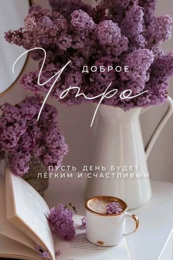 Доброе утро!

Уголок Душевного Тепла ❤️