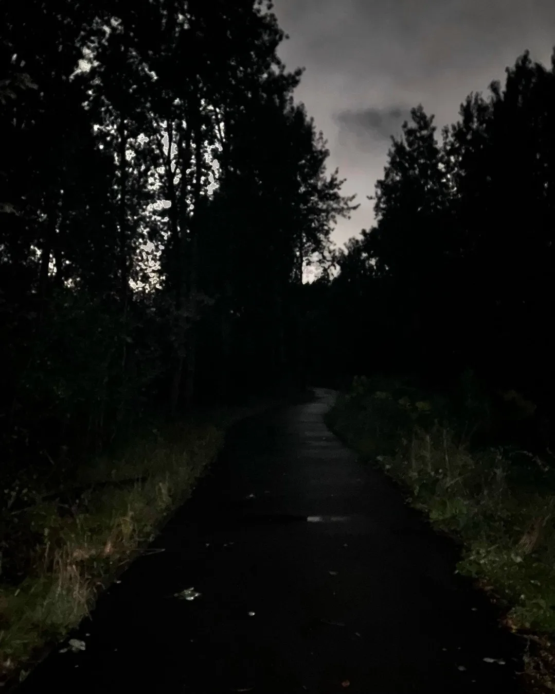 В Деревяницком парке нет света. Совсем.