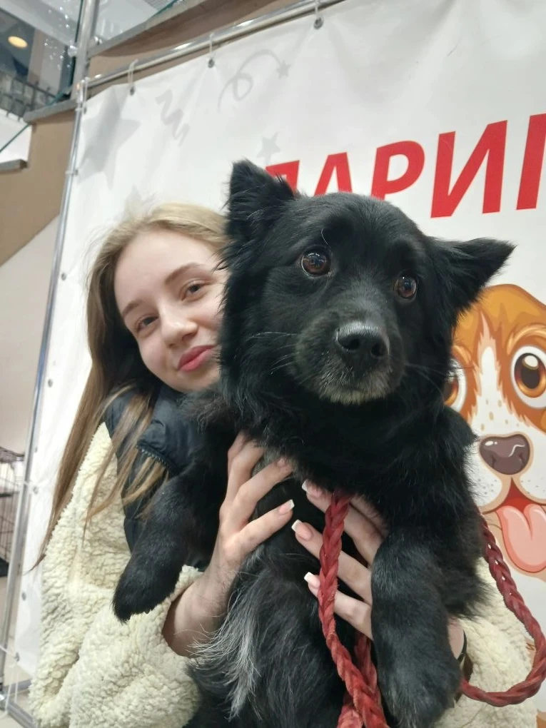 🙌 Друзья, очень рады поделиться результатами совместной акции с приютом «КрасноДог», к...