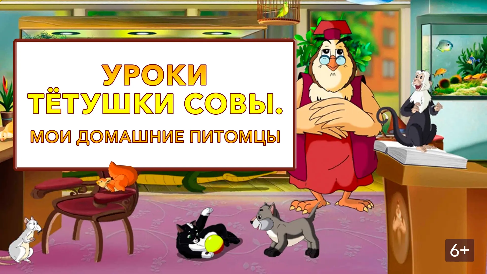 🐶Любимые питомцы делают, даже самых жёстких людей добрее и нежнее, а ещё, благодаря домашним животн