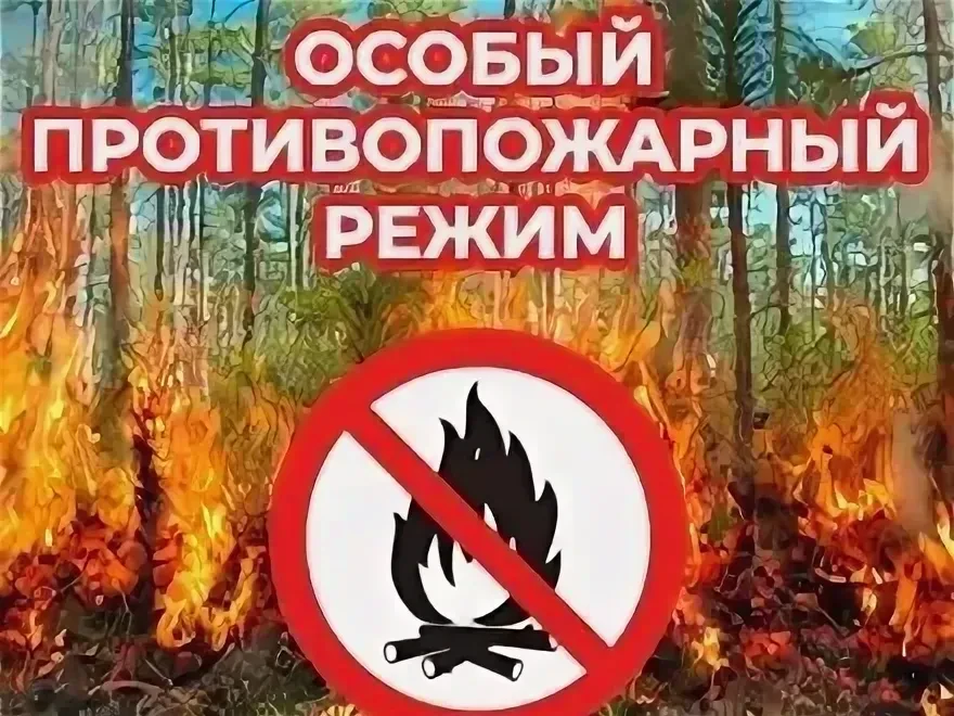 С 19 июня в Свердловской области официально отменён особый противопожарный режим. Соответствующее по
